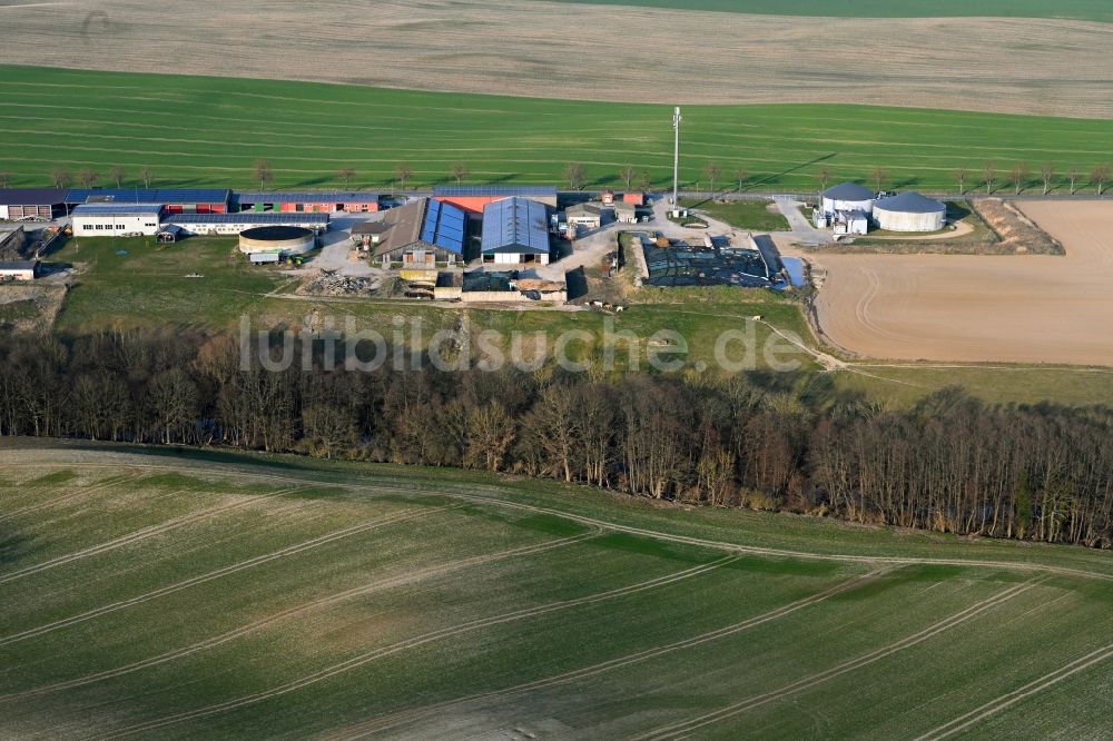 Gollmitz von oben - Dorfkern am Feldrand in Gollmitz im Bundesland Brandenburg, Deutschland