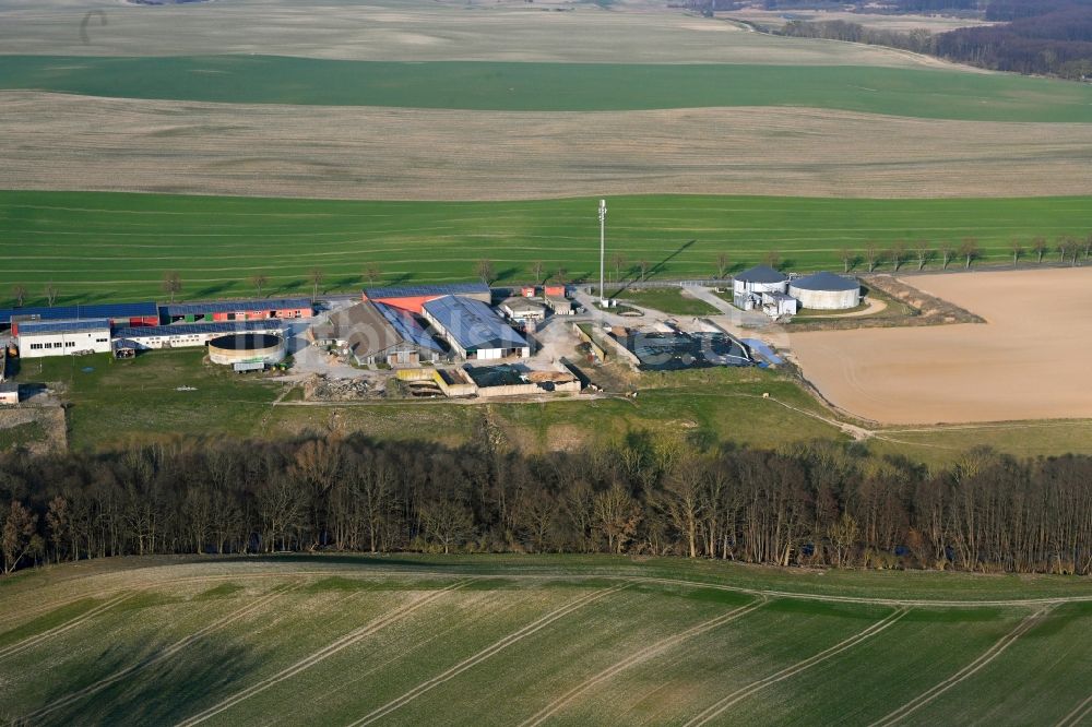 Gollmitz aus der Vogelperspektive: Dorfkern am Feldrand in Gollmitz im Bundesland Brandenburg, Deutschland