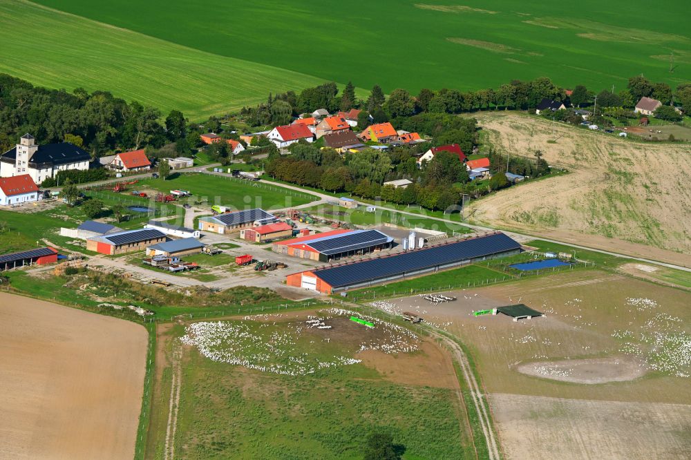 Gollmitz aus der Vogelperspektive: Dorfkern am Feldrand in Gollmitz im Bundesland Brandenburg, Deutschland