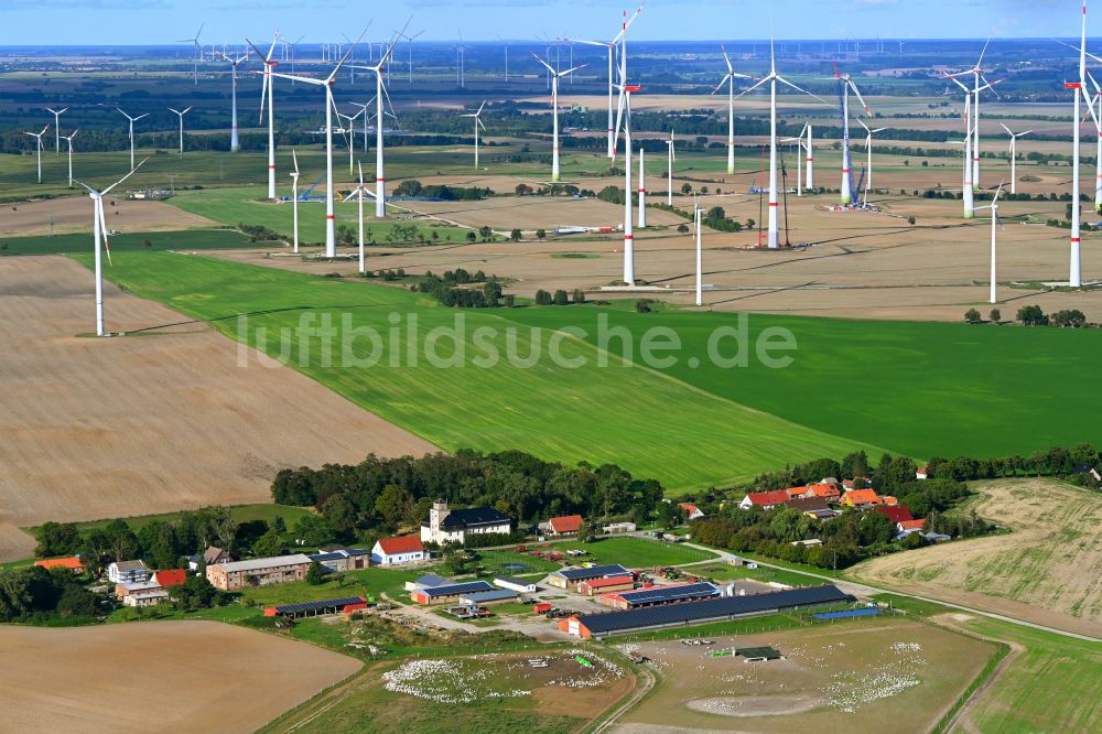 Luftaufnahme Gollmitz - Dorfkern am Feldrand in Gollmitz im Bundesland Brandenburg, Deutschland