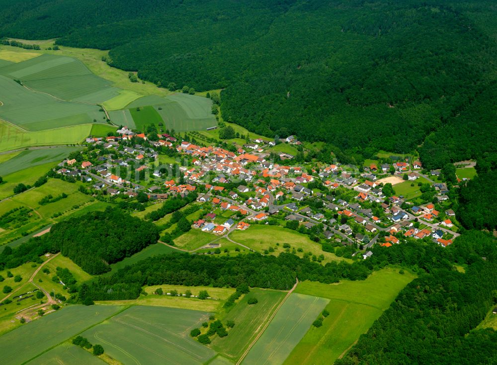 Gonbach aus der Vogelperspektive: Dorfkern am Feldrand in Gonbach im Bundesland Rheinland-Pfalz, Deutschland