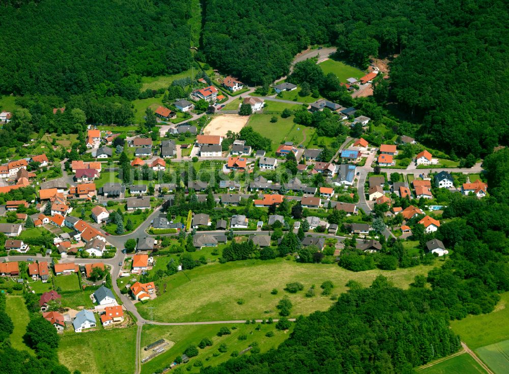 Luftaufnahme Gonbach - Dorfkern am Feldrand in Gonbach im Bundesland Rheinland-Pfalz, Deutschland