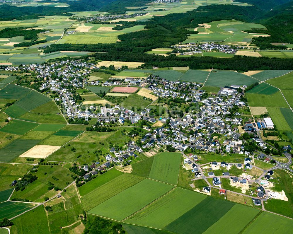 Gondershausen von oben - Dorfkern am Feldrand in Gondershausen im Bundesland Rheinland-Pfalz, Deutschland