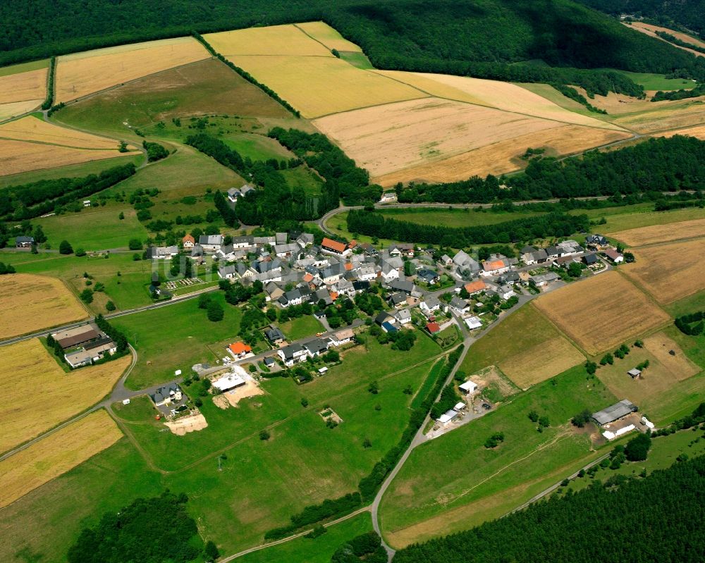 Luftbild Griebelschied - Dorfkern am Feldrand in Griebelschied im Bundesland Rheinland-Pfalz, Deutschland