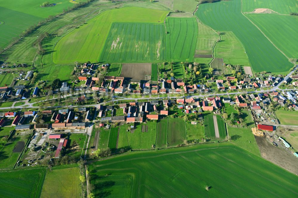 Luftaufnahme Großmutz - Dorfkern am Feldrand in Großmutz im Bundesland Brandenburg, Deutschland