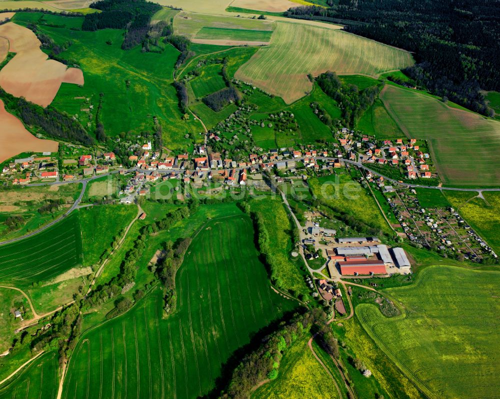 Luftaufnahme Großsaara - Dorfkern am Feldrand in Großsaara im Bundesland Thüringen, Deutschland