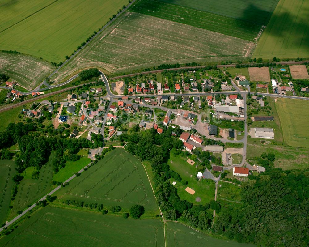 Grubnitz aus der Vogelperspektive: Dorfkern am Feldrand in Grubnitz im Bundesland Sachsen, Deutschland