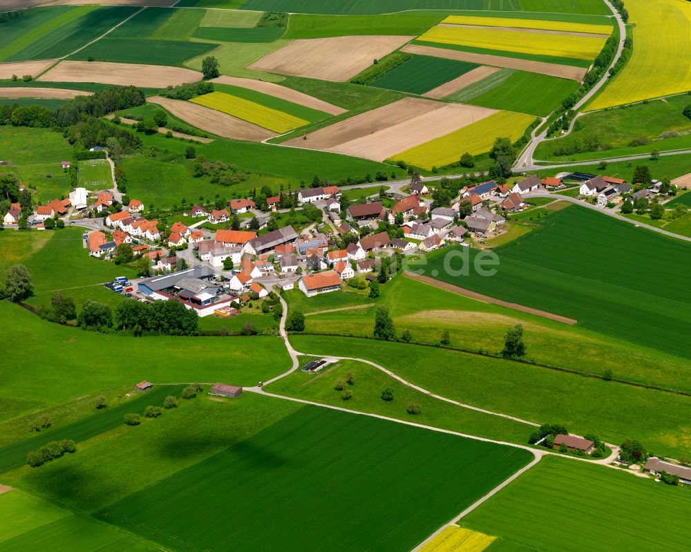 Hailtingen von oben - Dorfkern am Feldrand in Hailtingen im Bundesland Baden-Württemberg, Deutschland