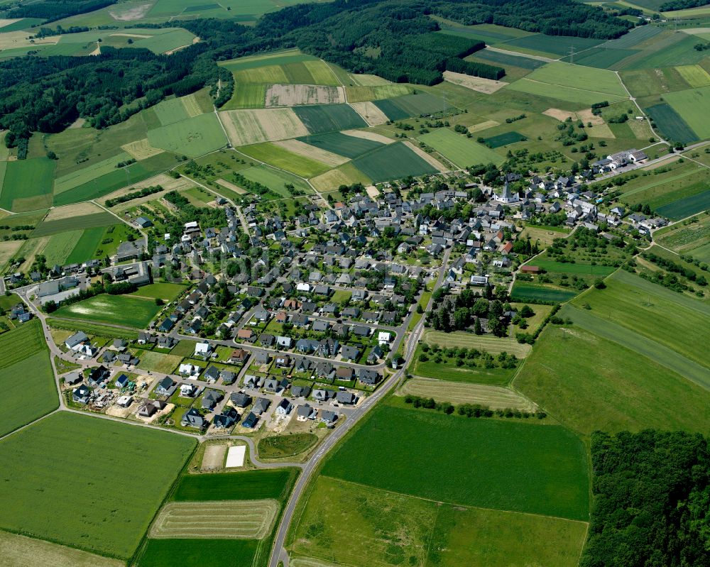 Halsenbach von oben - Dorfkern am Feldrand in Halsenbach im Bundesland Rheinland-Pfalz, Deutschland