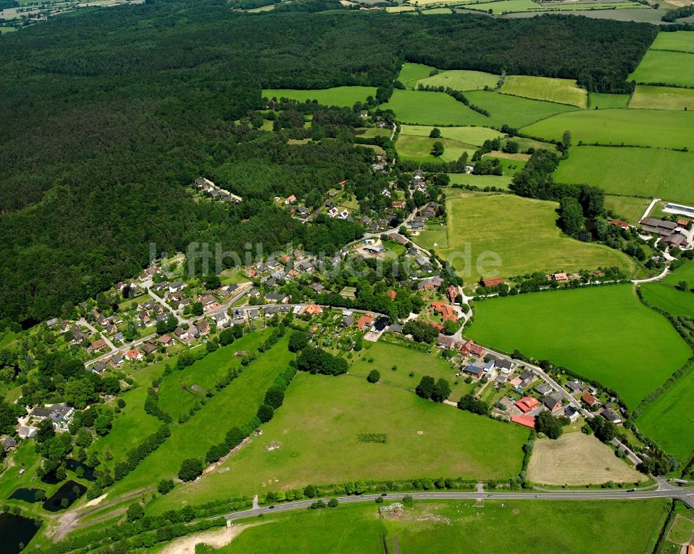 Luftbild Hamfelde - Dorfkern am Feldrand in Hamfelde im Bundesland Schleswig-Holstein, Deutschland