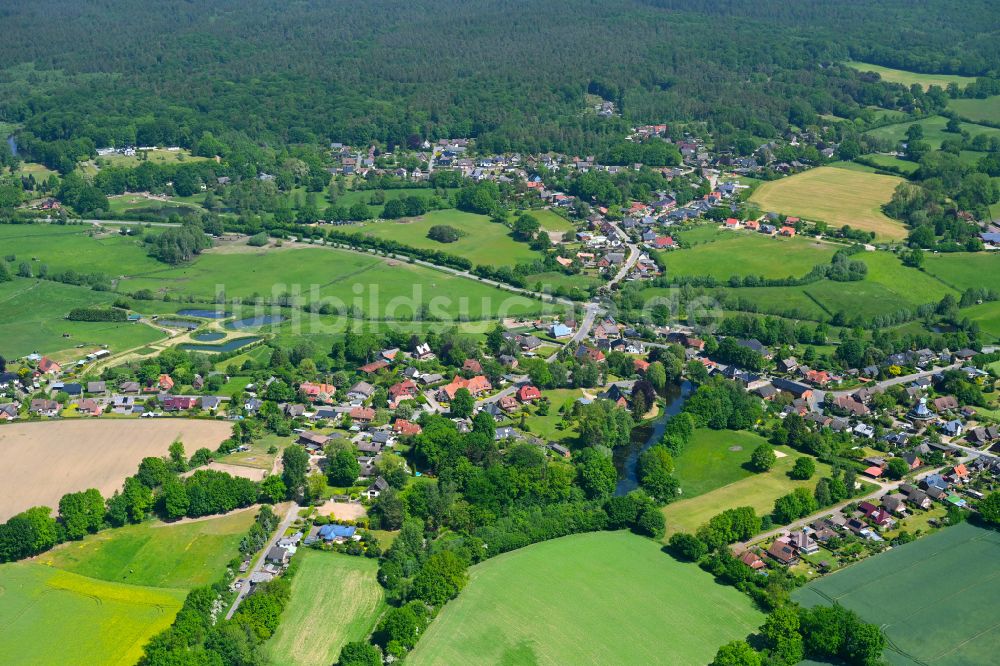 Luftbild Hamfelde - Dorfkern am Feldrand in Hamfelde im Bundesland Schleswig-Holstein, Deutschland