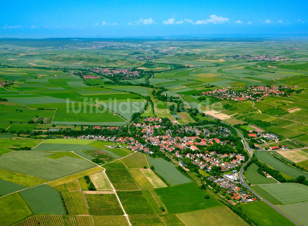 Harxheim von oben - Dorfkern am Feldrand in Harxheim im Bundesland Rheinland-Pfalz, Deutschland