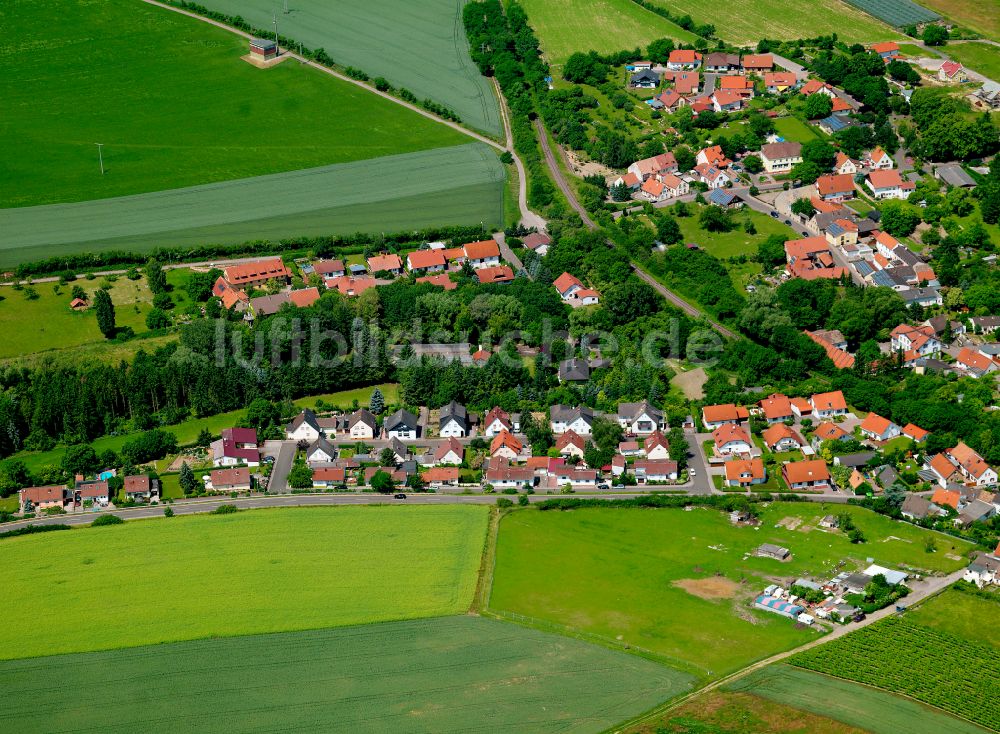 Luftbild Harxheim - Dorfkern am Feldrand in Harxheim im Bundesland Rheinland-Pfalz, Deutschland