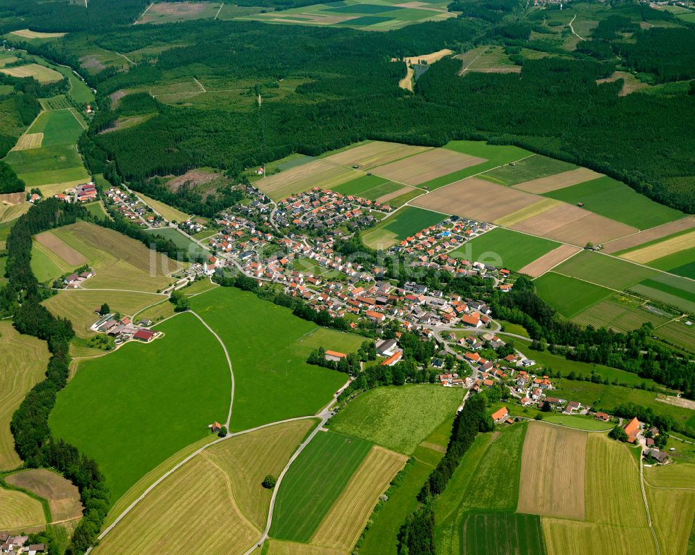 Haslach aus der Vogelperspektive: Dorfkern am Feldrand in Haslach im Bundesland Baden-Württemberg, Deutschland