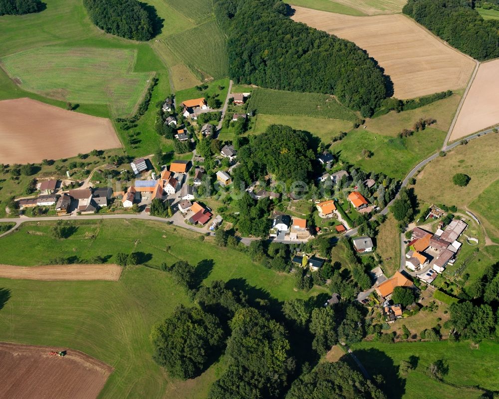 Hembach aus der Vogelperspektive: Dorfkern am Feldrand in Hembach im Bundesland Hessen, Deutschland