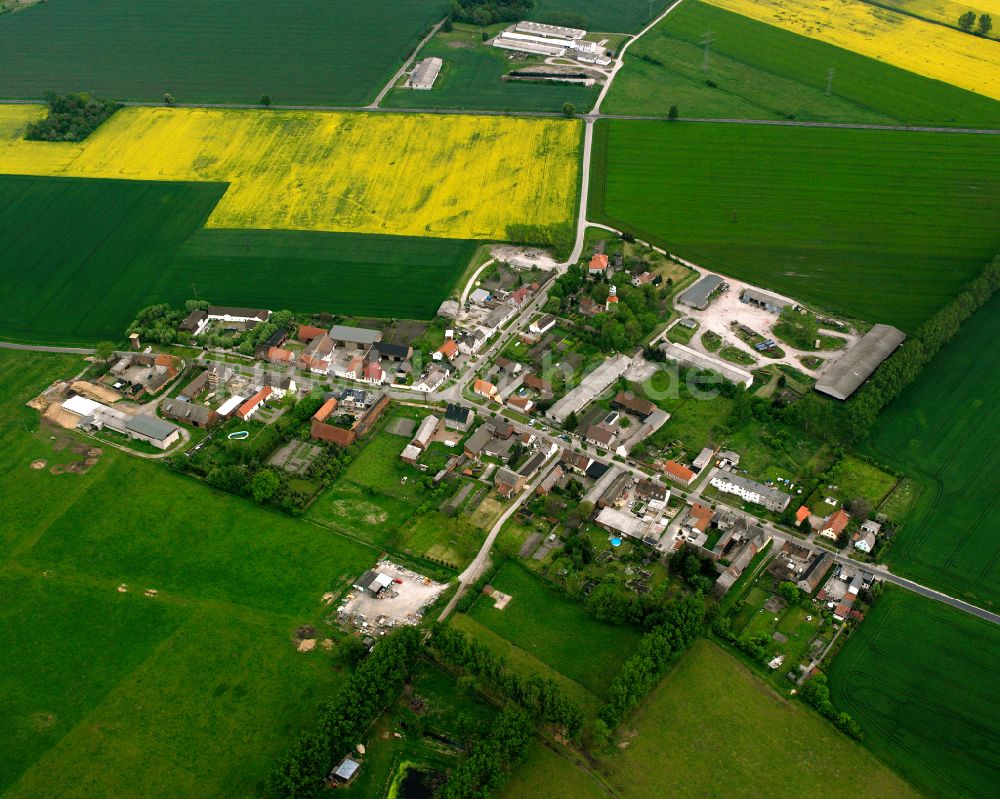 Hohenlepte aus der Vogelperspektive: Dorfkern am Feldrand in Hohenlepte im Bundesland Sachsen-Anhalt, Deutschland