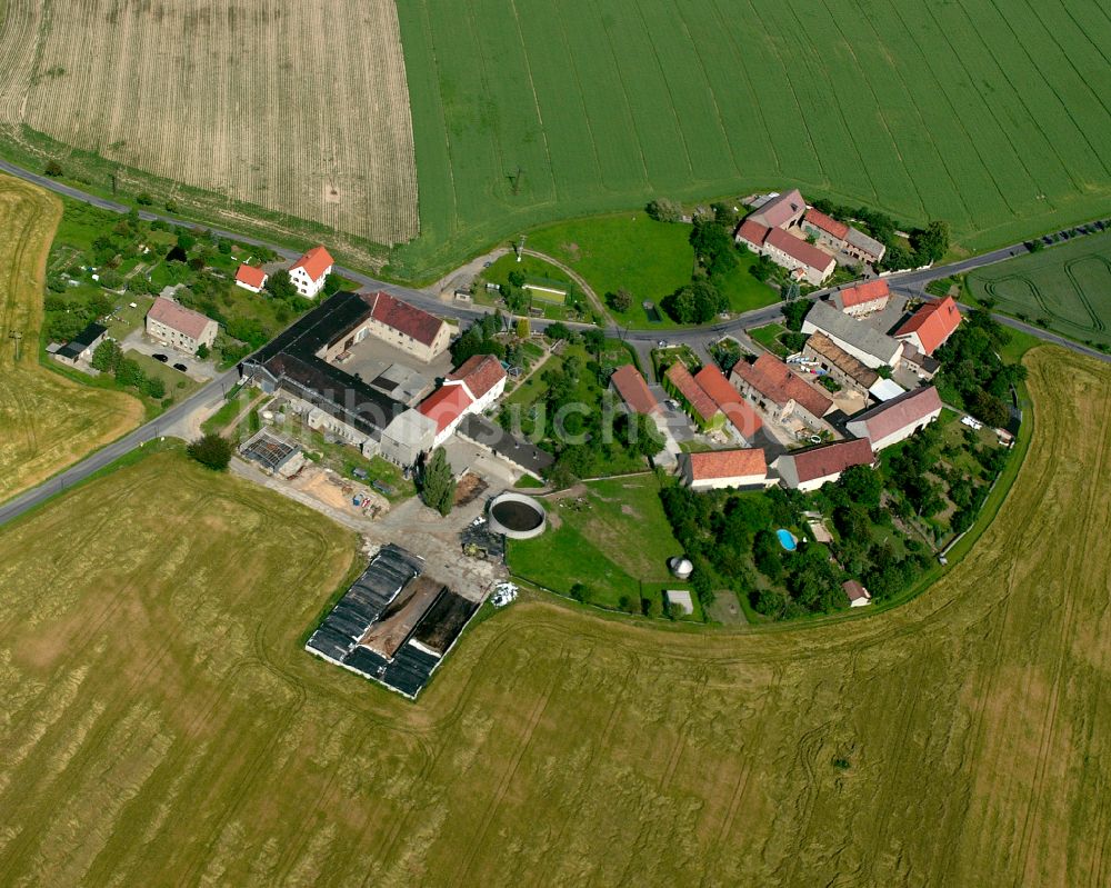 Luftbild Hohndorf - Dorfkern am Feldrand in Hohndorf im Bundesland Sachsen, Deutschland