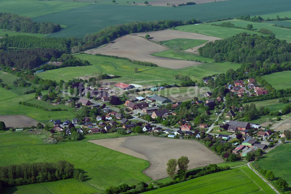 Luftbild Hollenbek - Dorfkern am Feldrand in Hollenbek im Bundesland Schleswig-Holstein, Deutschland