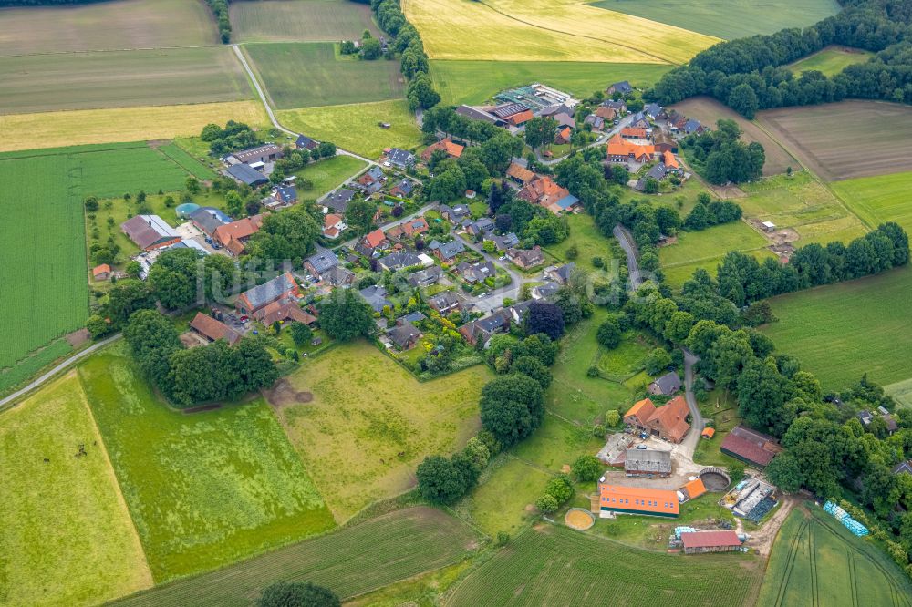 Holtwick von oben - Dorfkern am Feldrand in Holtwick im Bundesland Nordrhein-Westfalen, Deutschland