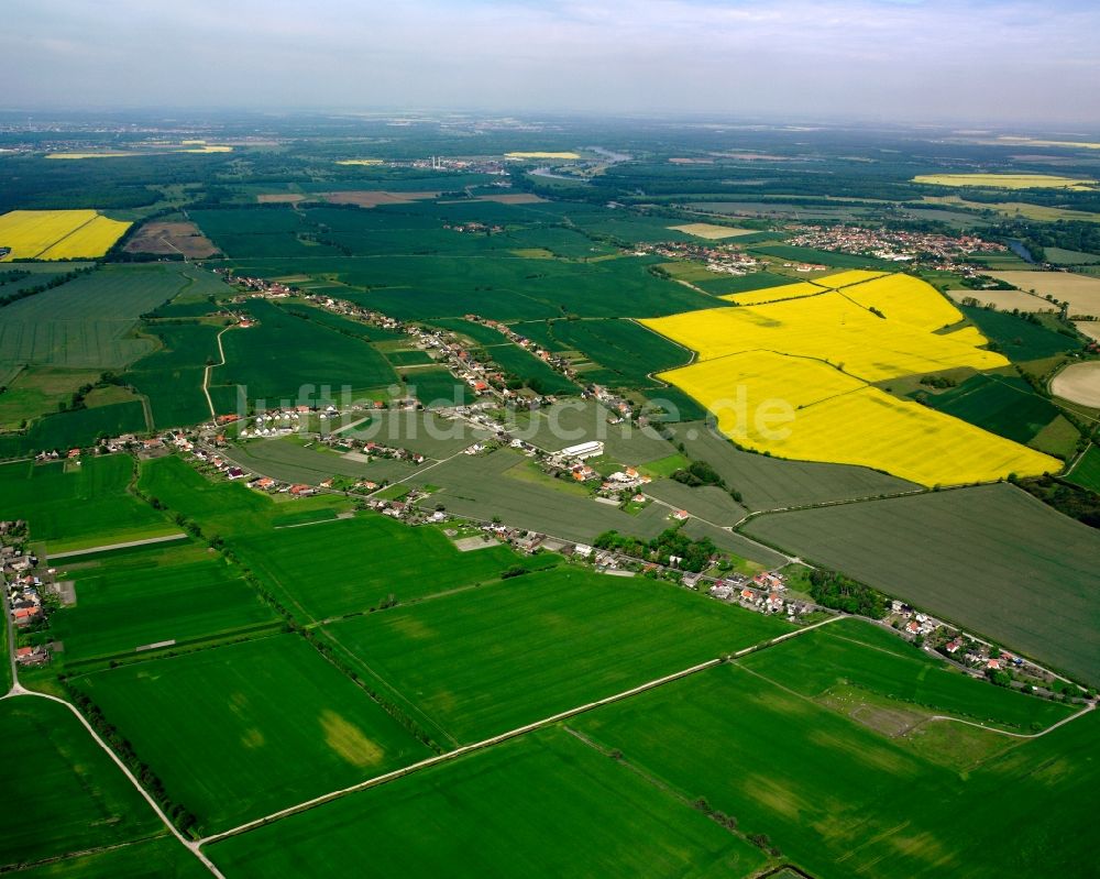 Luftbild Horstdorf - Dorfkern am Feldrand in Horstdorf im Bundesland Sachsen-Anhalt, Deutschland