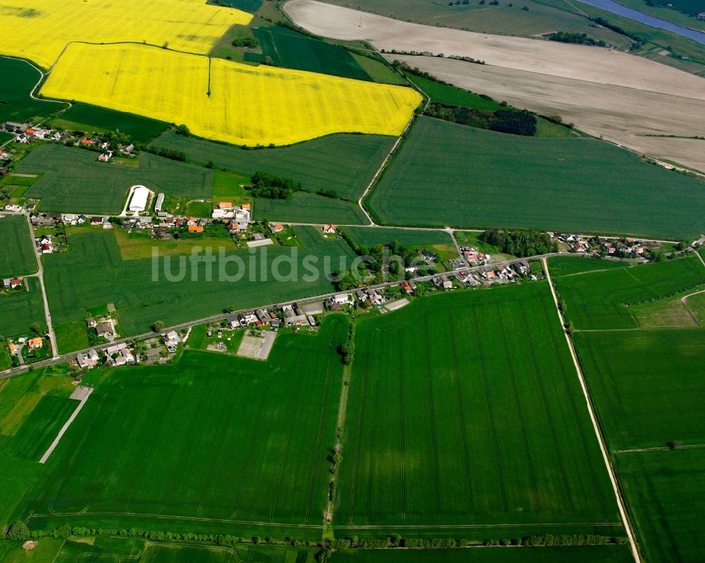 Luftaufnahme Horstdorf - Dorfkern am Feldrand in Horstdorf im Bundesland Sachsen-Anhalt, Deutschland