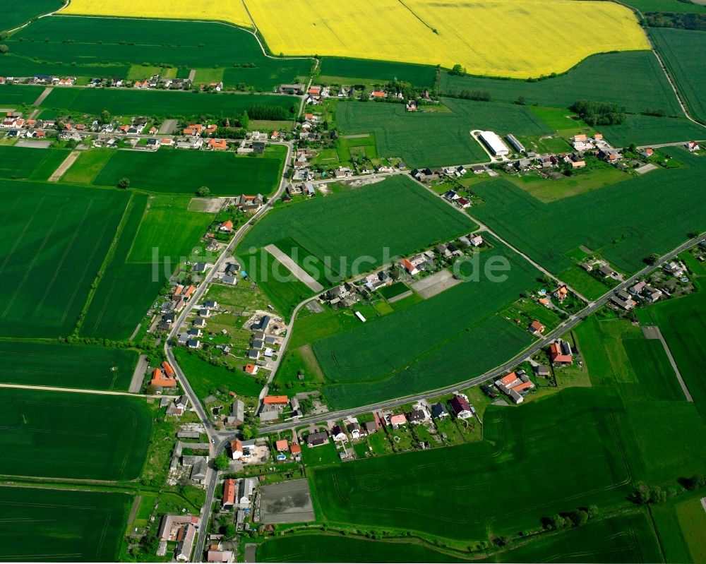 Luftaufnahme Horstdorf - Dorfkern am Feldrand in Horstdorf im Bundesland Sachsen-Anhalt, Deutschland