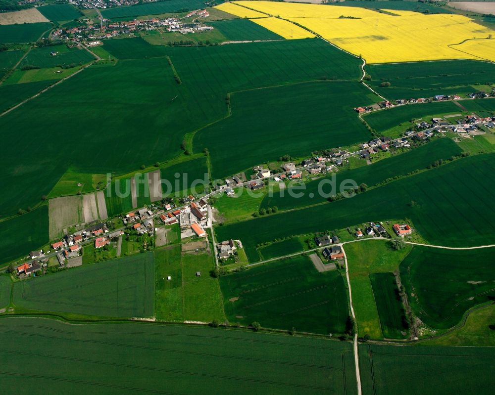 Horstdorf von oben - Dorfkern am Feldrand in Horstdorf im Bundesland Sachsen-Anhalt, Deutschland