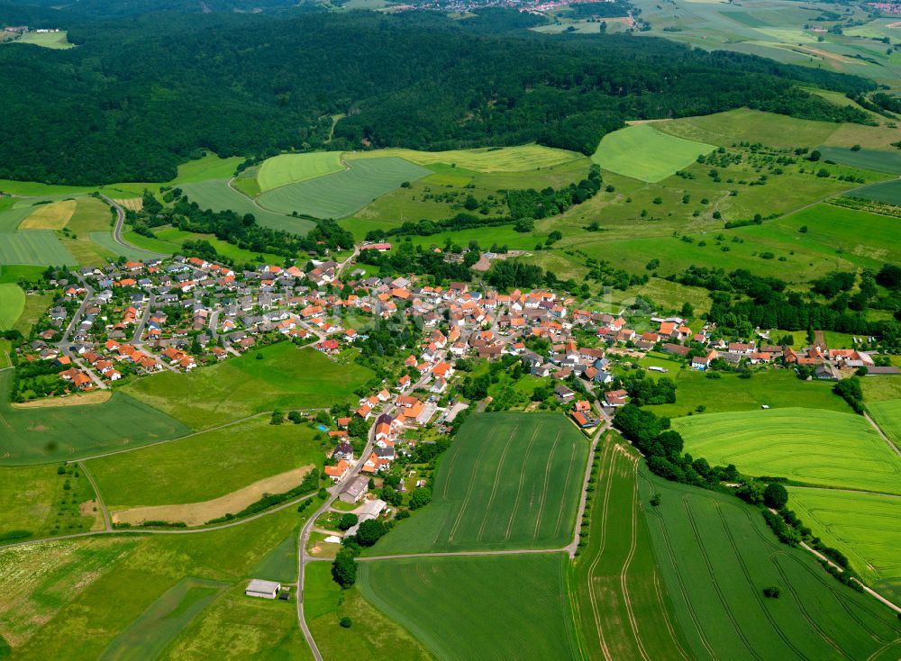 Höringen aus der Vogelperspektive: Dorfkern am Feldrand in Höringen im Bundesland Rheinland-Pfalz, Deutschland