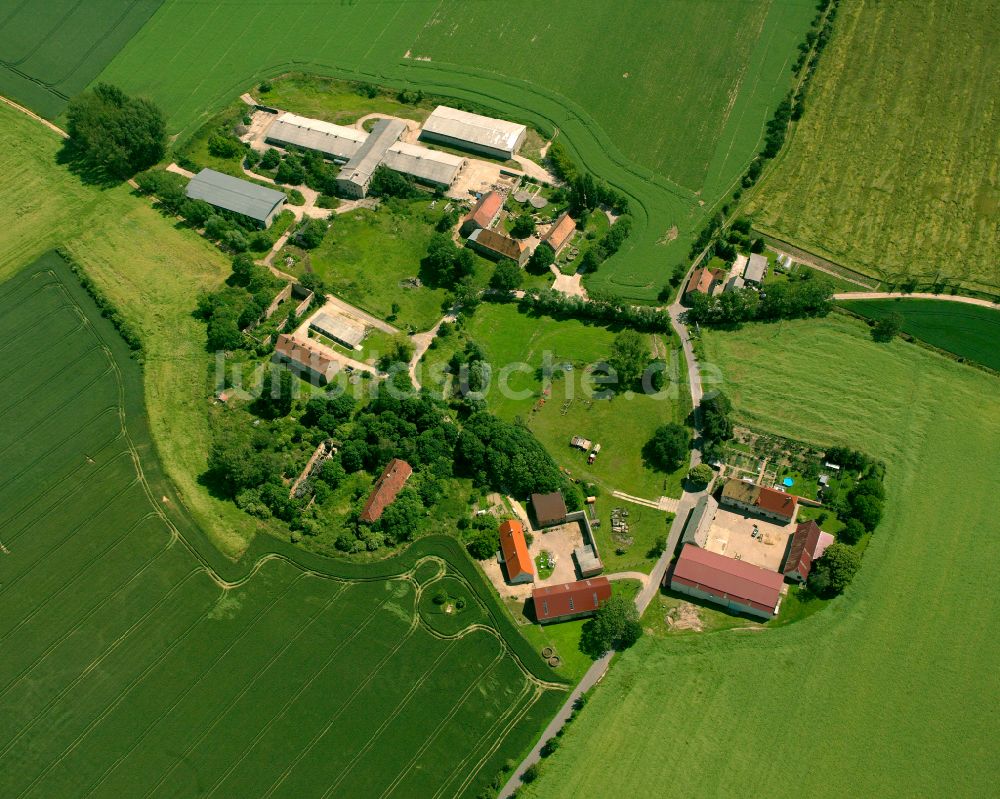 Luftaufnahme Ibanitz - Dorfkern am Feldrand in Ibanitz im Bundesland Sachsen, Deutschland