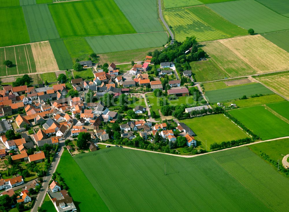 Luftbild Ilbesheim - Dorfkern am Feldrand in Ilbesheim im Bundesland Rheinland-Pfalz, Deutschland