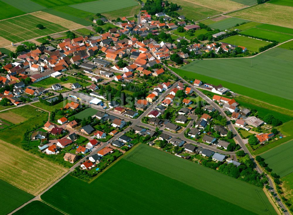 Luftaufnahme Ilbesheim - Dorfkern am Feldrand in Ilbesheim im Bundesland Rheinland-Pfalz, Deutschland