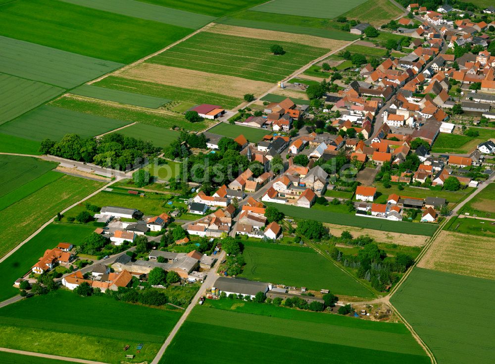 Ilbesheim von oben - Dorfkern am Feldrand in Ilbesheim im Bundesland Rheinland-Pfalz, Deutschland