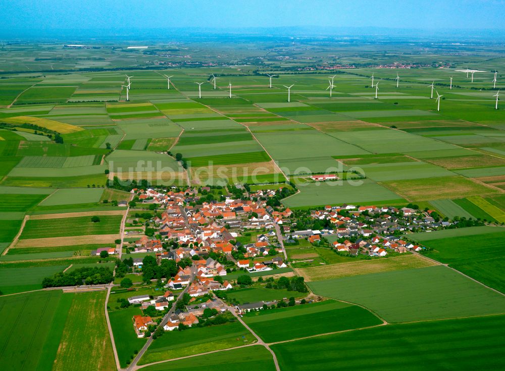 Ilbesheim aus der Vogelperspektive: Dorfkern am Feldrand in Ilbesheim im Bundesland Rheinland-Pfalz, Deutschland