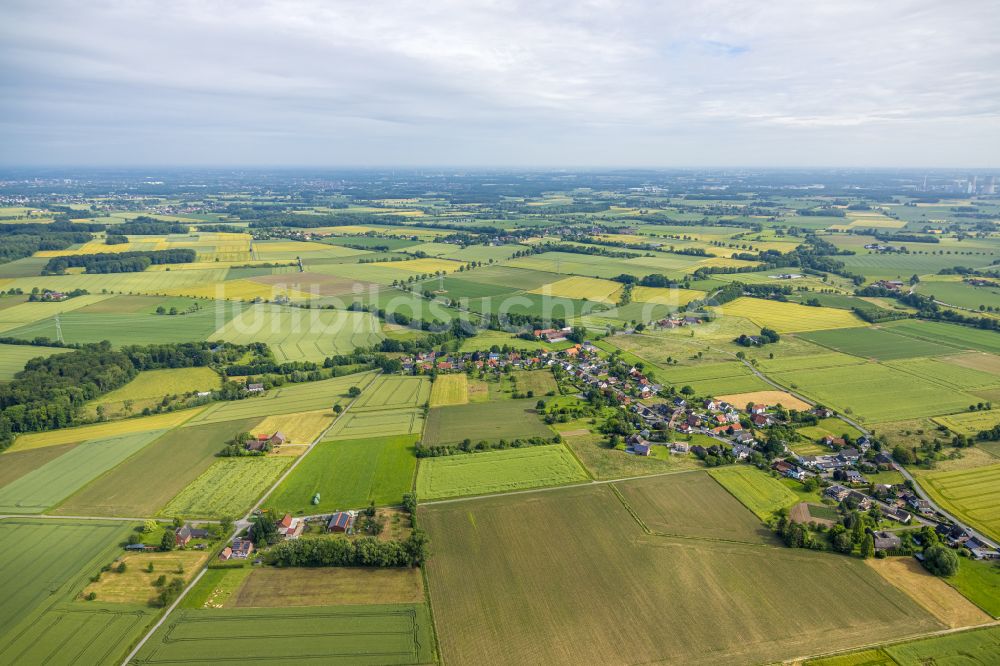 Illingen aus der Vogelperspektive: Dorfkern am Feldrand in Illingen im Bundesland Nordrhein-Westfalen, Deutschland