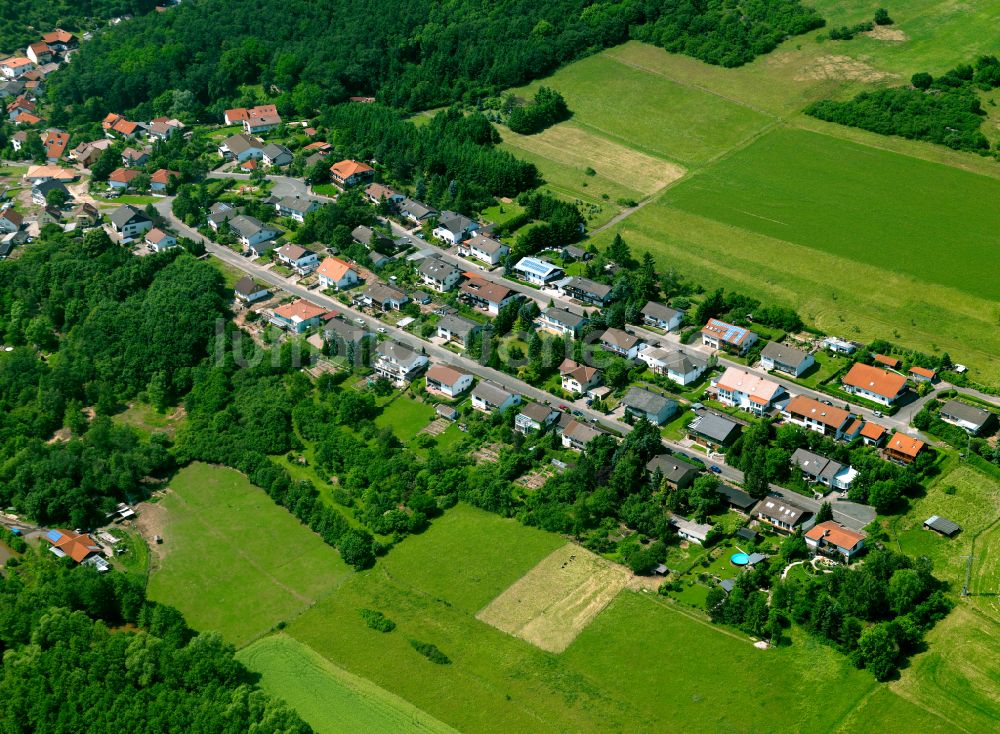 Imsbach von oben - Dorfkern am Feldrand in Imsbach im Bundesland Rheinland-Pfalz, Deutschland