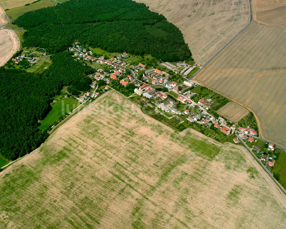 Luftaufnahme Jacobsthal - Dorfkern am Feldrand in Jacobsthal im Bundesland Sachsen, Deutschland