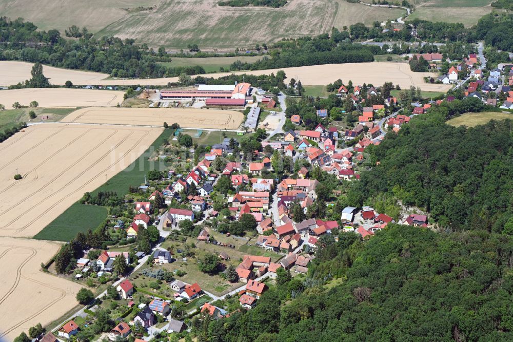 Luftaufnahme Jenaprießnitz - Dorfkern am Feldrand in Jenaprießnitz im Bundesland Thüringen, Deutschland