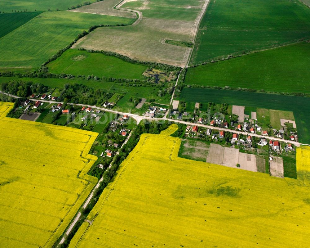 Kalitz aus der Vogelperspektive: Dorfkern am Feldrand in Kalitz im Bundesland Sachsen-Anhalt, Deutschland