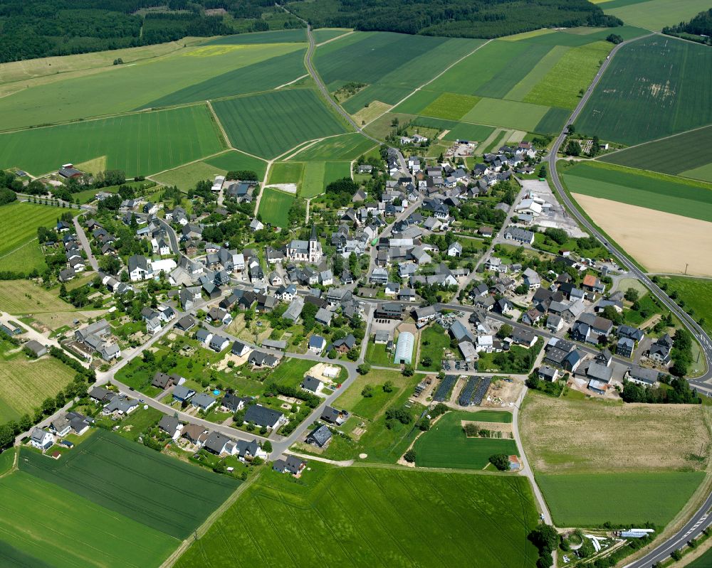 Luftbild Kappel - Dorfkern am Feldrand in Kappel im Bundesland Rheinland-Pfalz, Deutschland