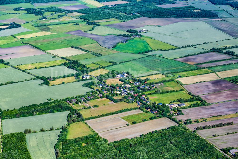 Luftbild Karlum - Dorfkern am Feldrand in Karlum im Bundesland Schleswig-Holstein, Deutschland