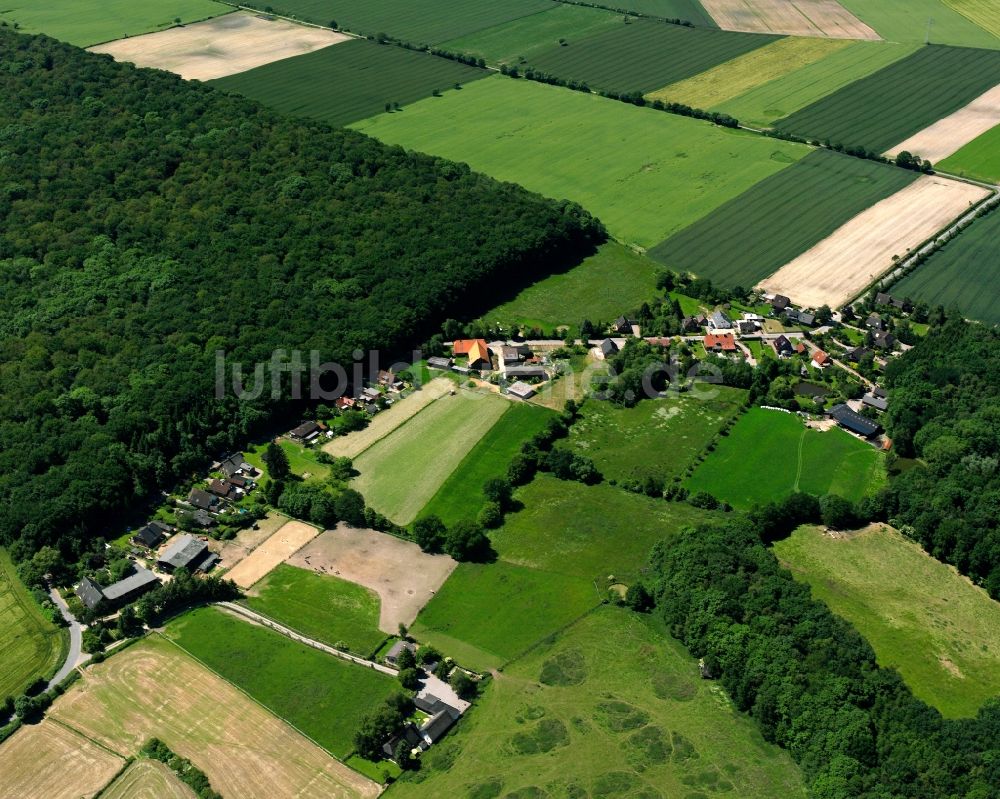 Luftaufnahme Kleinschretstaken - Dorfkern am Feldrand in Kleinschretstaken im Bundesland Schleswig-Holstein, Deutschland