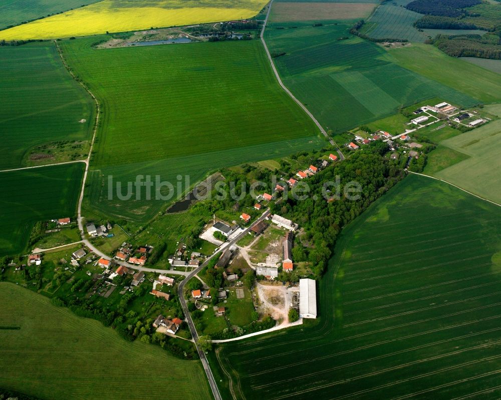 Luftaufnahme Klepps - Dorfkern am Feldrand in Klepps im Bundesland Sachsen-Anhalt, Deutschland