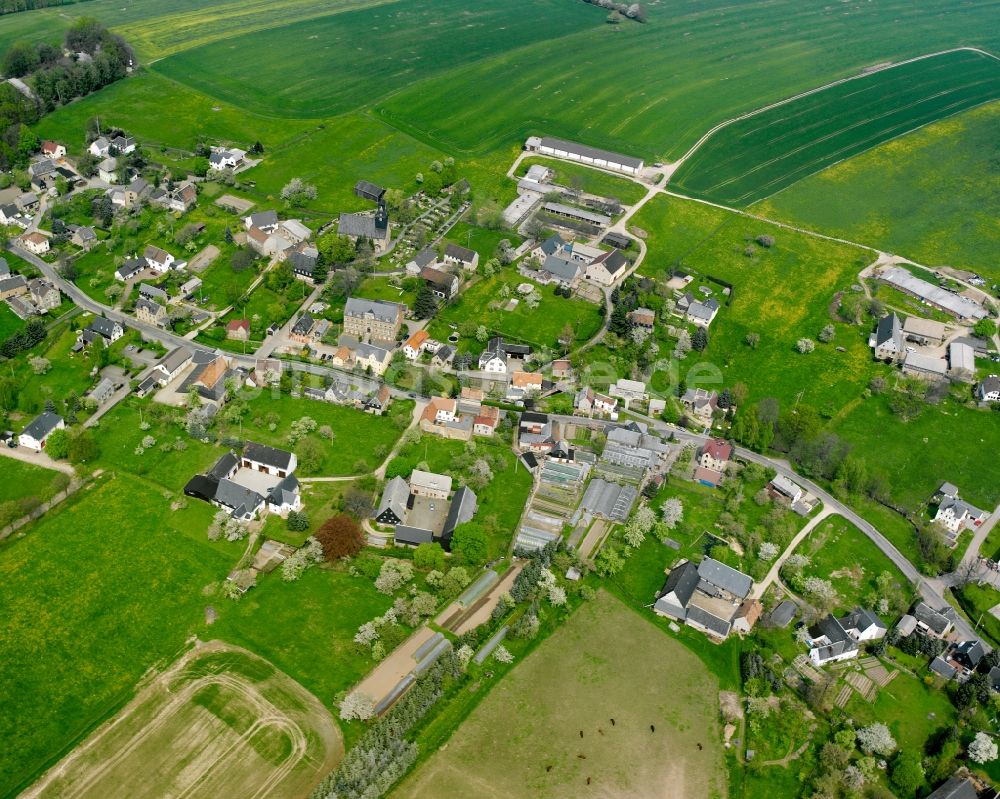 Königshain von oben - Dorfkern am Feldrand in Königshain im Bundesland Sachsen, Deutschland