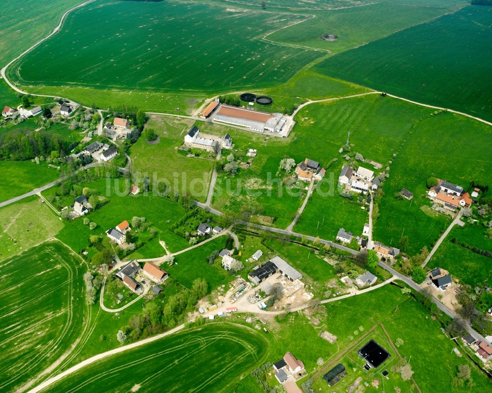 Königshain von oben - Dorfkern am Feldrand in Königshain im Bundesland Sachsen, Deutschland