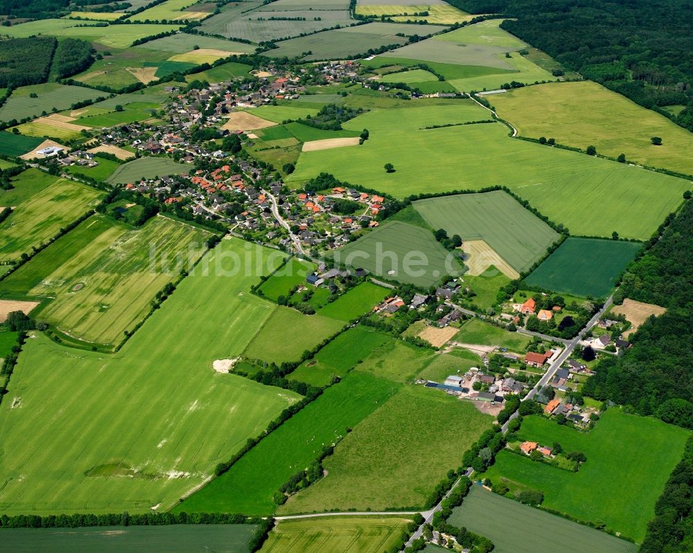 Koberg aus der Vogelperspektive: Dorfkern am Feldrand in Koberg im Bundesland Schleswig-Holstein, Deutschland