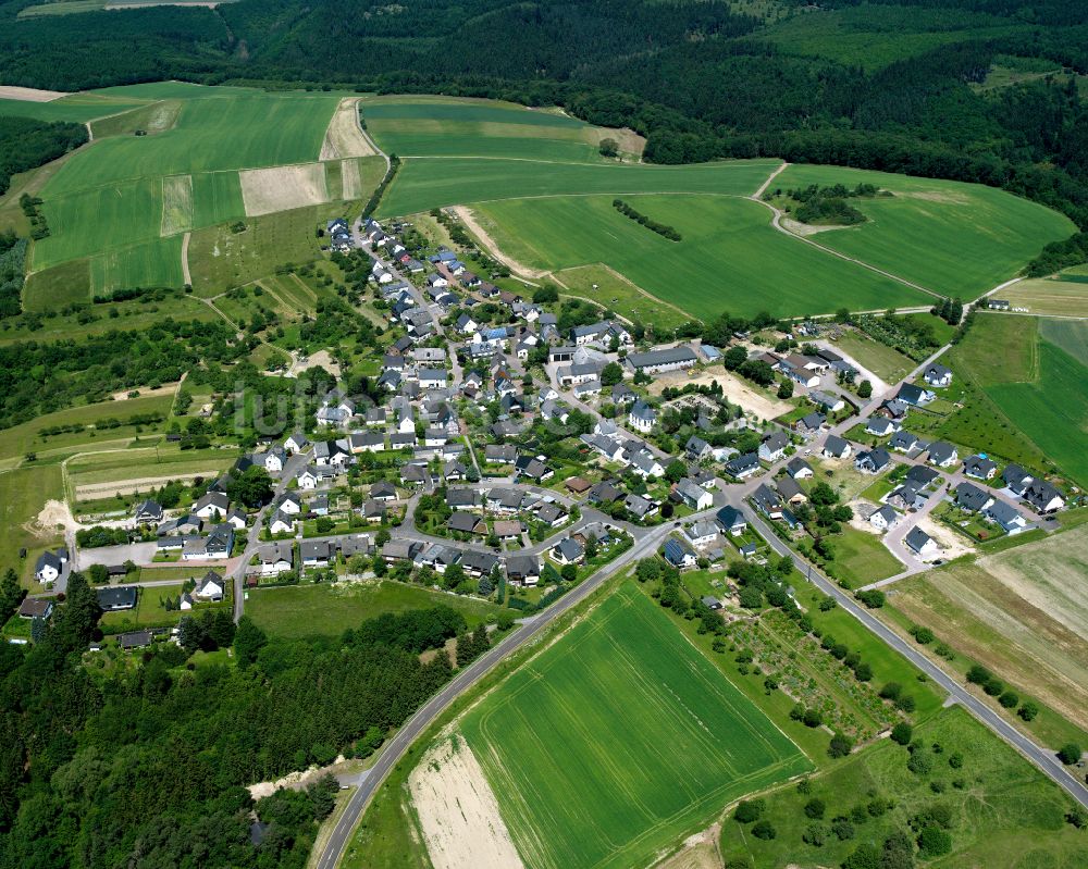 Kratzenburg aus der Vogelperspektive: Dorfkern am Feldrand in Kratzenburg im Bundesland Rheinland-Pfalz, Deutschland