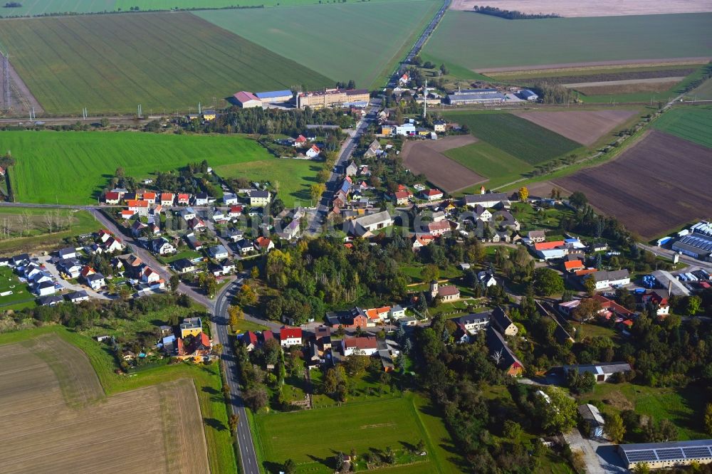 Krensitz aus der Vogelperspektive: Dorfkern am Feldrand in Krensitz im Bundesland Sachsen, Deutschland