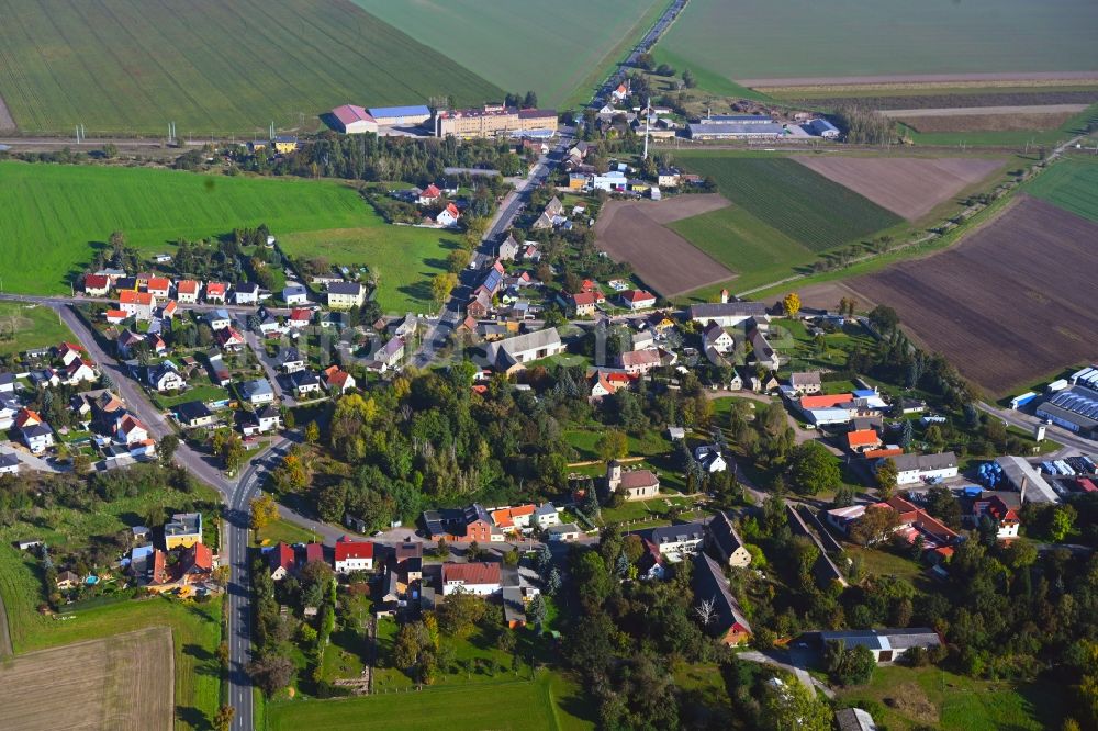 Luftbild Krensitz - Dorfkern am Feldrand in Krensitz im Bundesland Sachsen, Deutschland