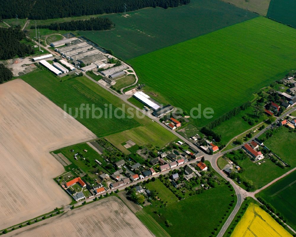 Köselitz aus der Vogelperspektive: Dorfkern am Feldrand in Köselitz im Bundesland Sachsen-Anhalt, Deutschland