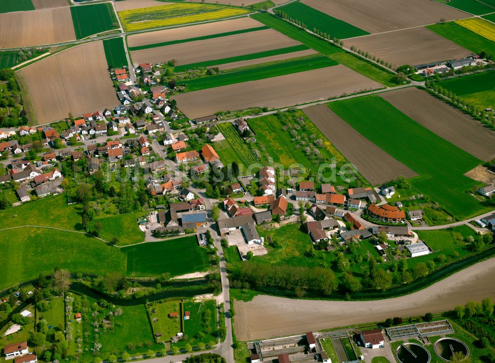 Luftaufnahme Langenau - Dorfkern am Feldrand in Langenau im Bundesland Baden-Württemberg, Deutschland